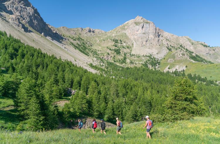 Randonnée thématique à la découverte de l'Ubaye_Le Sauze 1400