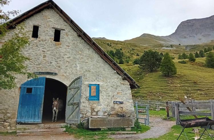 Concert à la cabane des Mulets_Seyne - cabane des Mulet