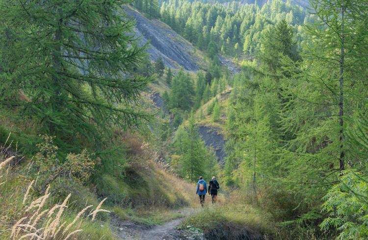 Les Dimanches du Sauze : Sortie avec accompagnateur en montagne - Le Sauze d’hier à aujourd’hui