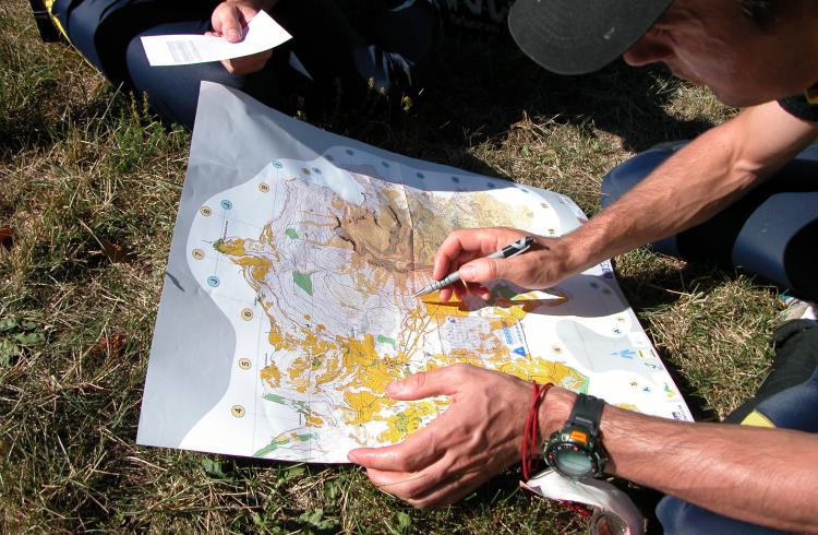 Carte - Course d'orientation