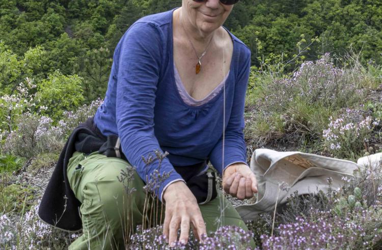 Balade découverte les plantes médicinales à Seyne - Christine Bonnat