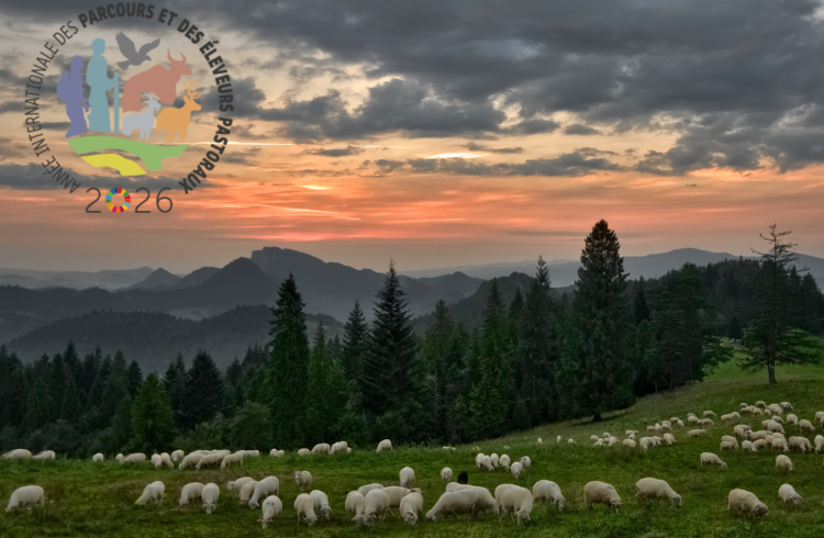 histoires de pastres