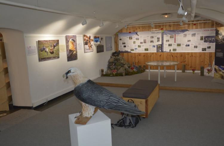 Salle Exposition Estivale Sapiniere