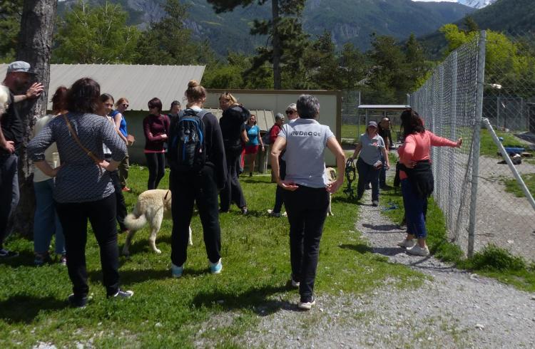 20 ans de protection animale : fête au refuge AUDACCE_Saint-Pons