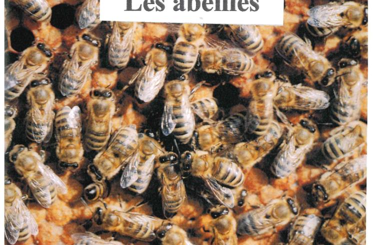 exposition "les abeilles"_Montclar