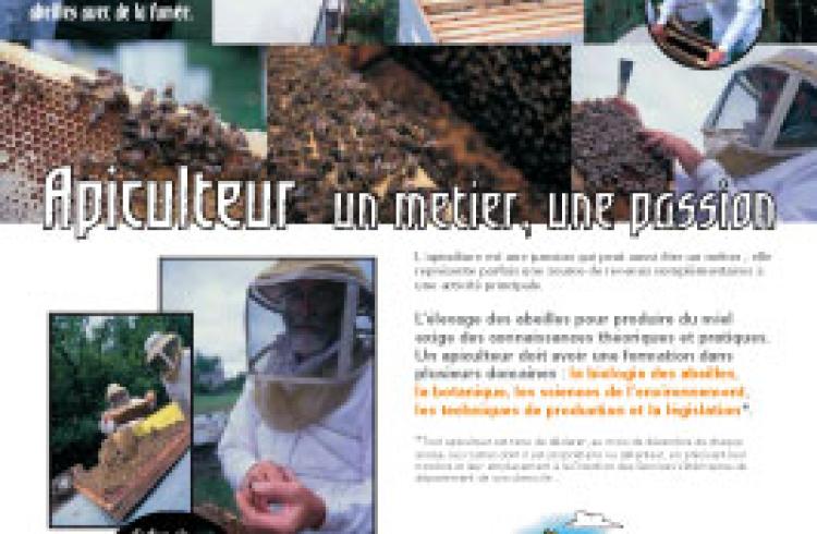 Exposition "les abeilles"_Montclar - md04