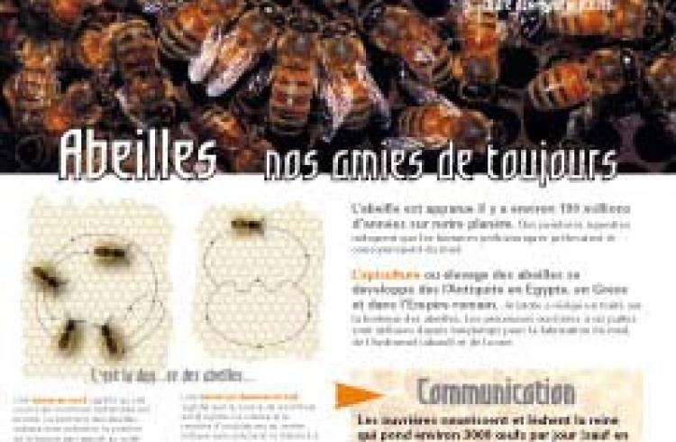 Exposition "les abeilles"_Montclar - md04