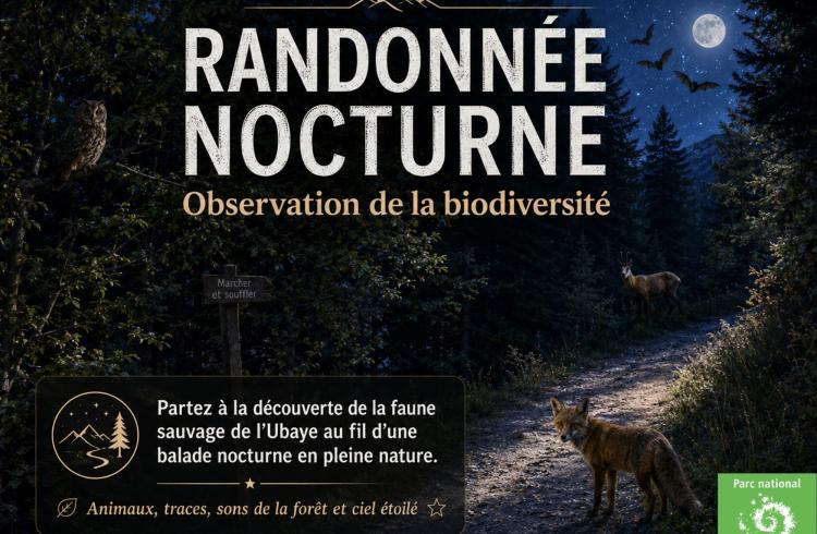 Festival Astro Loup - Randonnée nocturne_Pra Loup 1600 - Randonnée nocturne