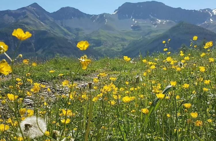 Studio Le Chalet - Vue montagne