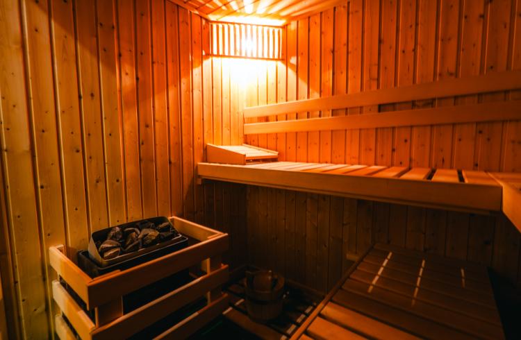 Hôtel le Vieux Tilleul - le sauna