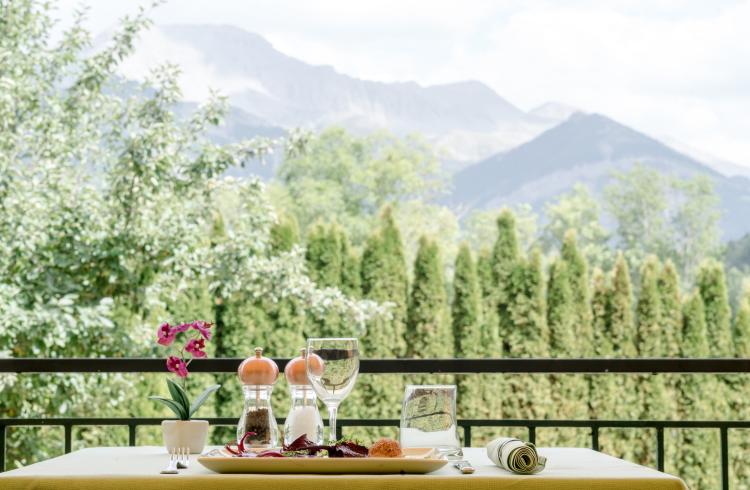 Hotel Le Vieux Tilleul - Terrasse