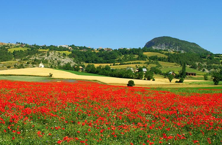 Village de Selonnet - Village de Selonnet