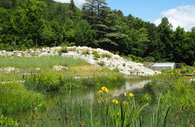 Jardin alpin Gap-Charance - Jardin alpin Gap-Charance