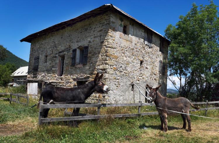 la Maison du Mulet - la Maison du Mulet