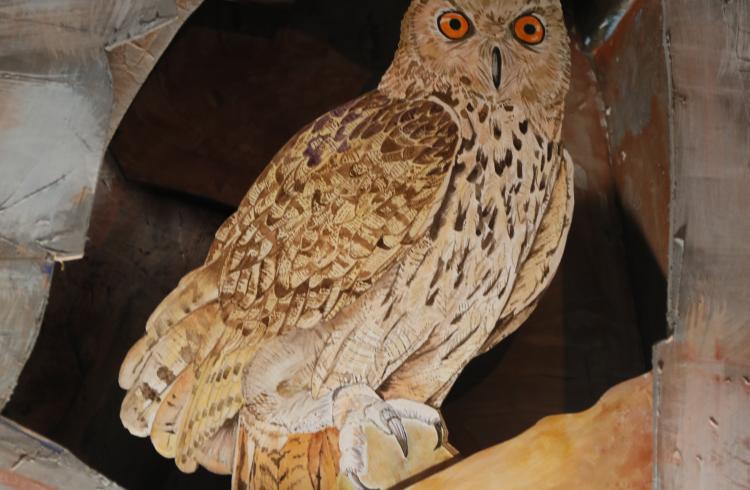 la Maison du Mulet - Exposition "Les animaux, la nuit" La Maison du Mulet