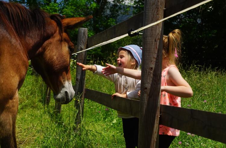la Maison du Mulet - Prince et les enfants