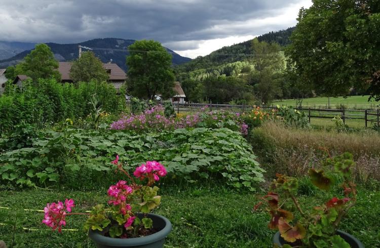 la Maison du Mulet - Le potager