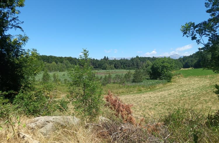 Le Lac de Saint-Léger_Montclar