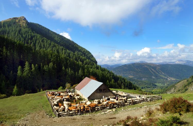 La Cabane des Mulets - La Cabane des Mulets