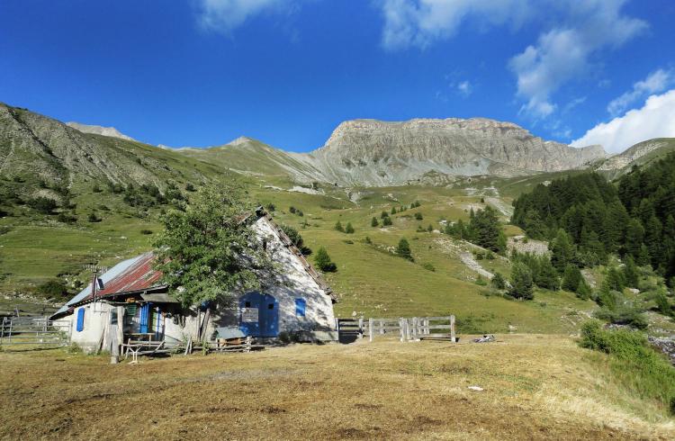 La Cabane des Mulets - La Cabane des Mulets