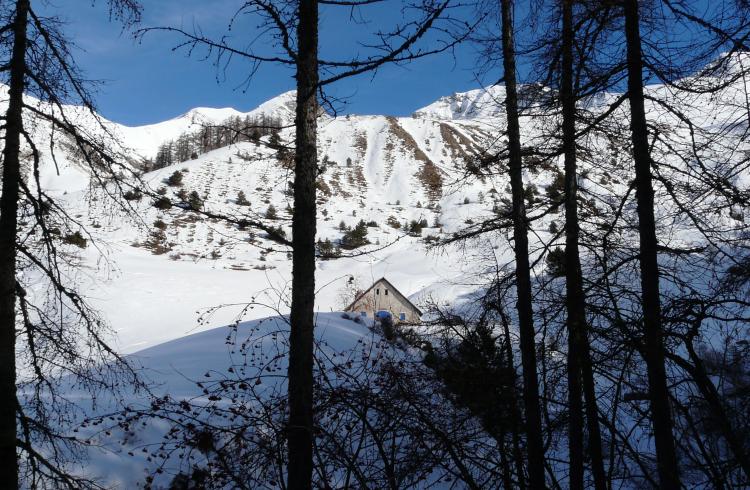 La Cabane des Mulets - La Cabane des Mulets