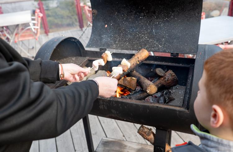 Image - Brochette au barbecue