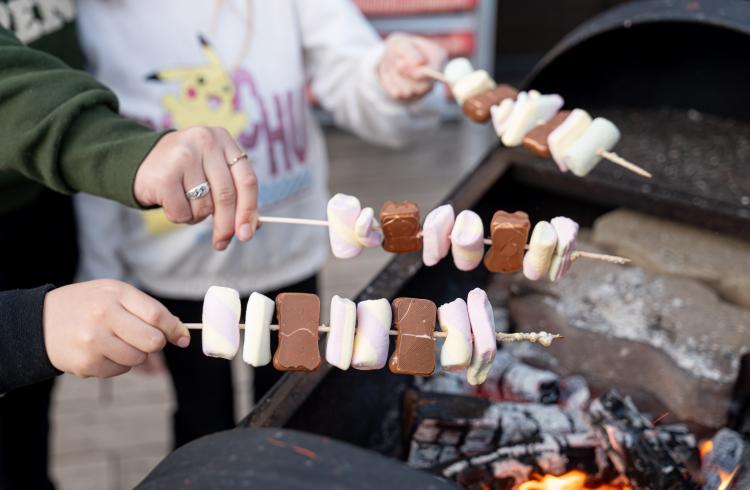Image - Brochette cuite au feu de bois