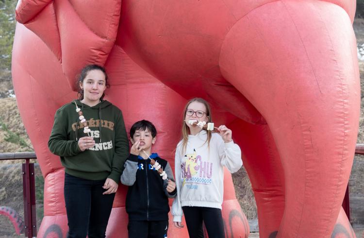 Bar Pub Restaurant Le Chalet - éléphants rose