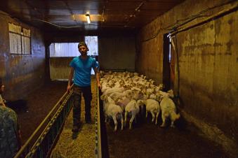 Les agriculteurs