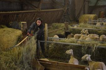 Les agriculteurs