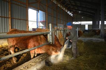 Les agriculteurs