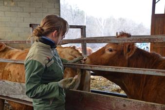 les femmes dans l'agriculture