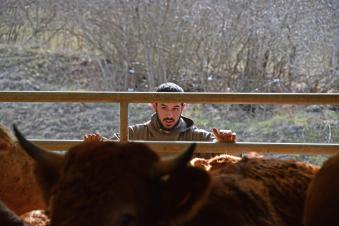 Les agriculteurs