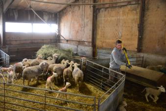 Les agriculteurs