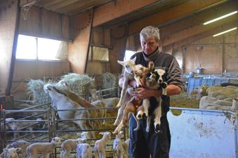 Les agriculteurs