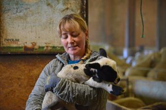 les femmes dans l'agriculture
