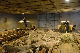Les agriculteurs
