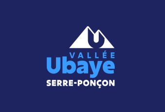 Logo CCVUSP