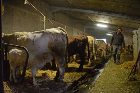 Les agriculteurs