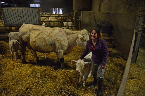 les femmes et l'agriculture