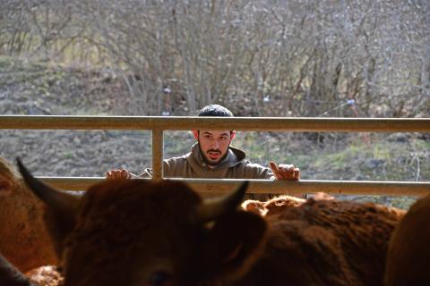 Les agriculteurs