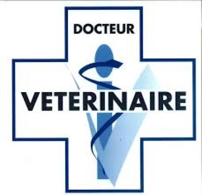 Vétérinaire Seyne les Alpes