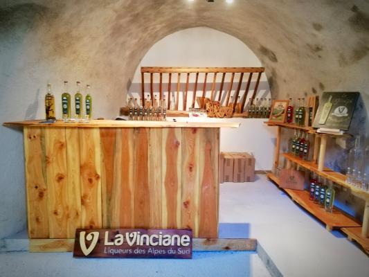 La vinciane Saint Vincent les forts