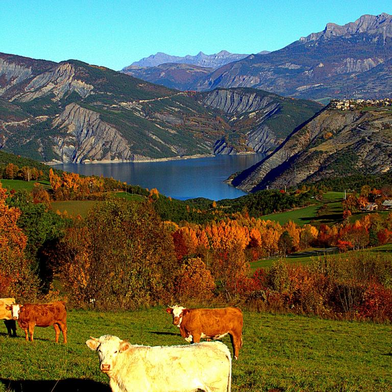 entre lac et montagnes...