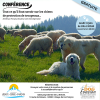 Conférence gratuite sur les chiens de protection!